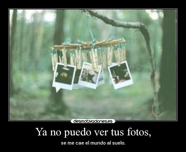 Ya no puedo ver tus fotos, - se me cae el mundo al suelo.