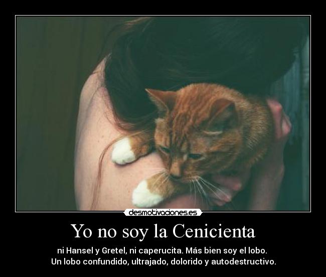 Yo no soy la Cenicienta - ni Hansel y Gretel, ni caperucita. Más bien soy el lobo. 
Un lobo confundido, ultrajado, dolorido y autodestructivo.