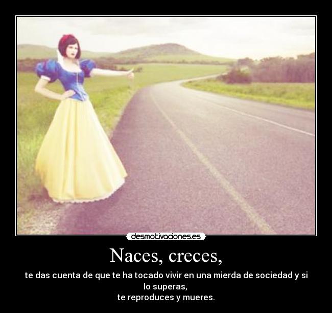 Naces, creces, -