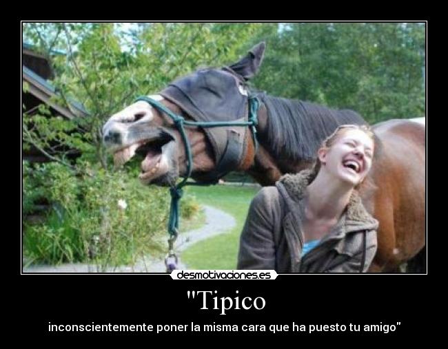 Tipico - 
