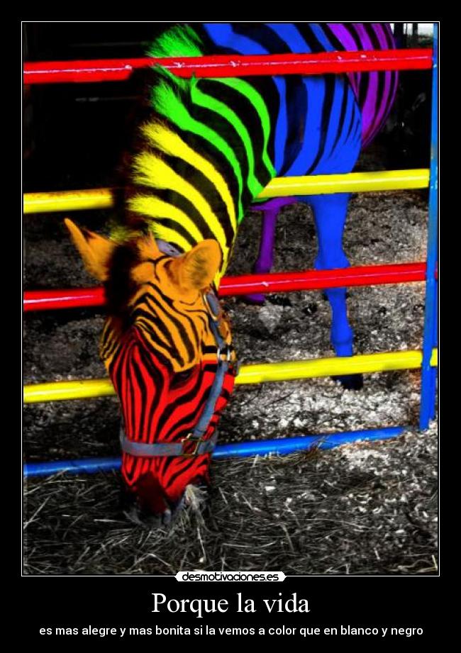 Porque la vida - es mas alegre y mas bonita si la vemos a color que en blanco y negro