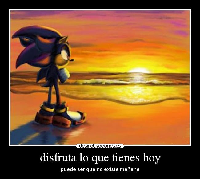 carteles shadow sonic aprovecha hoy desmotivaciones