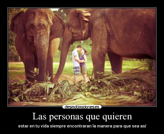 Las personas que quieren - estar en tu vida siempre encontraran la manera para que sea así