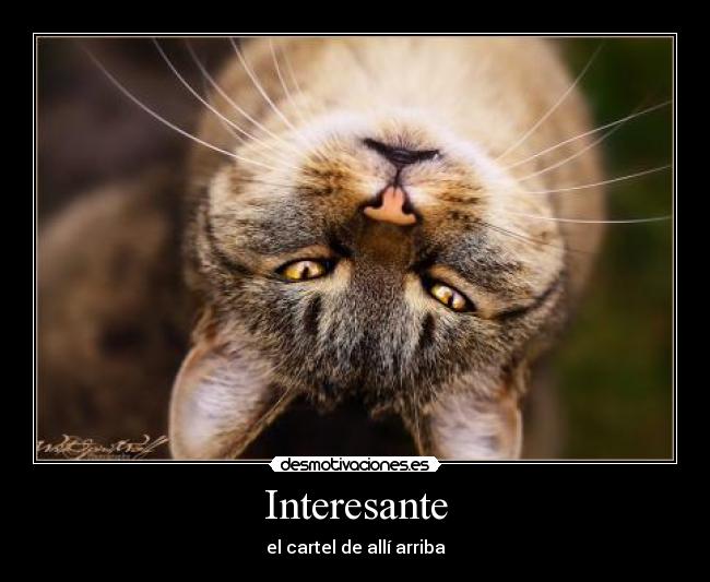 Interesante - el cartel de allí arriba