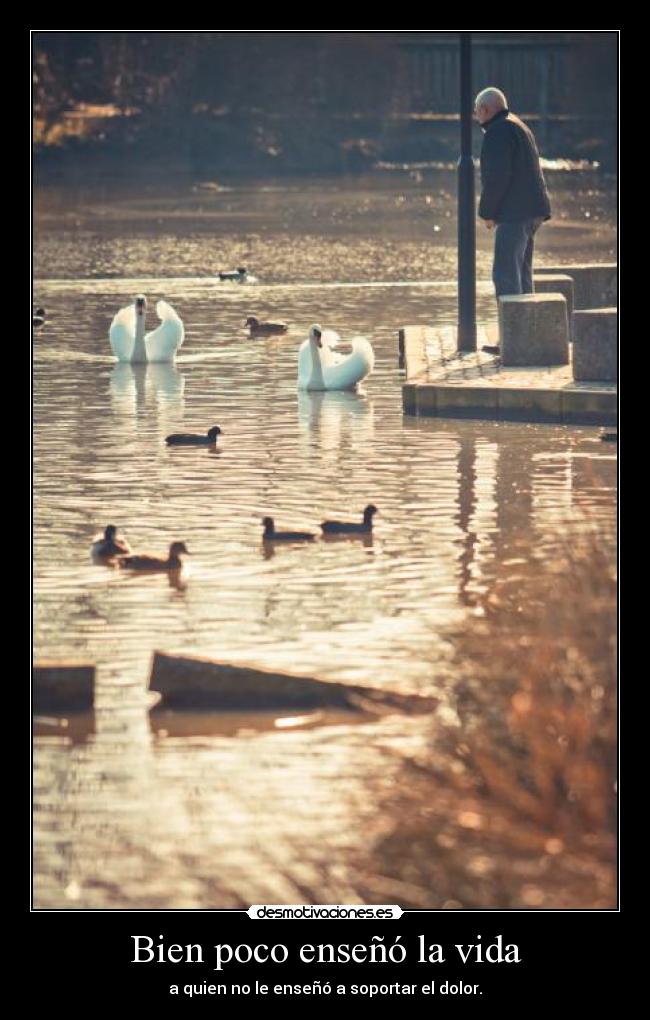 carteles vida arturo graf patata salvaje wii desmotivaciones