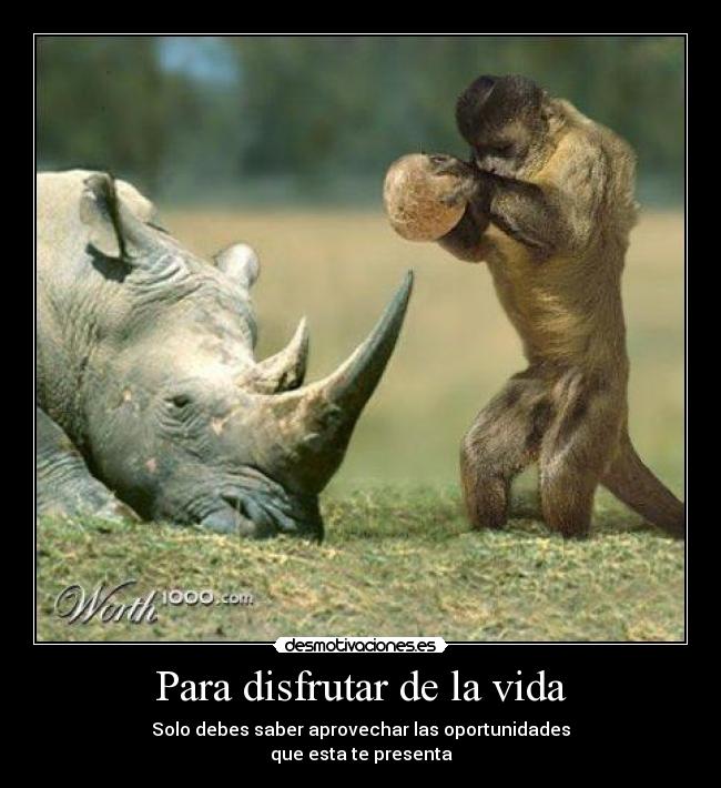 Para disfrutar de la vida - 