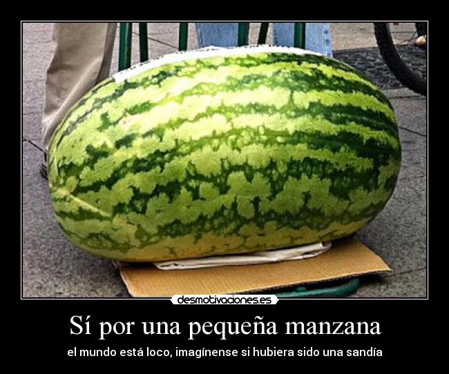 Sí por una pequeña manzana - el mundo está loco, imagínense si hubiera sido una sandía