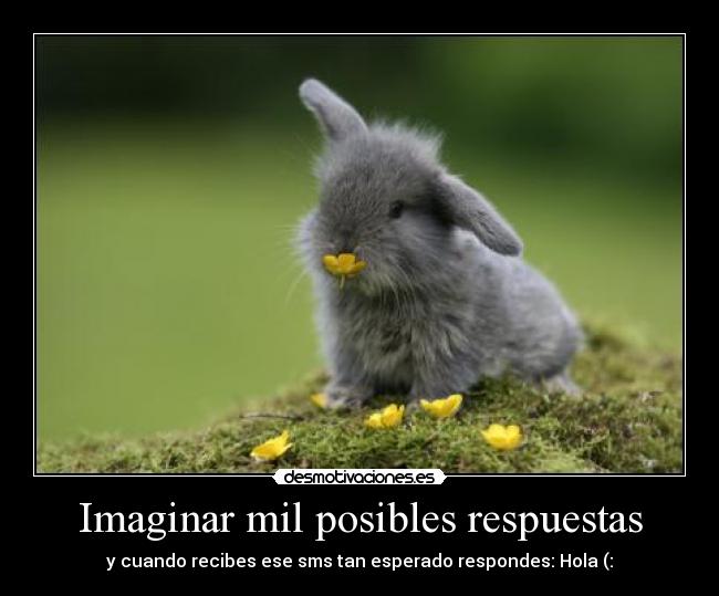 Imaginar mil posibles respuestas - y cuando recibes ese sms tan esperado respondes: Hola (: