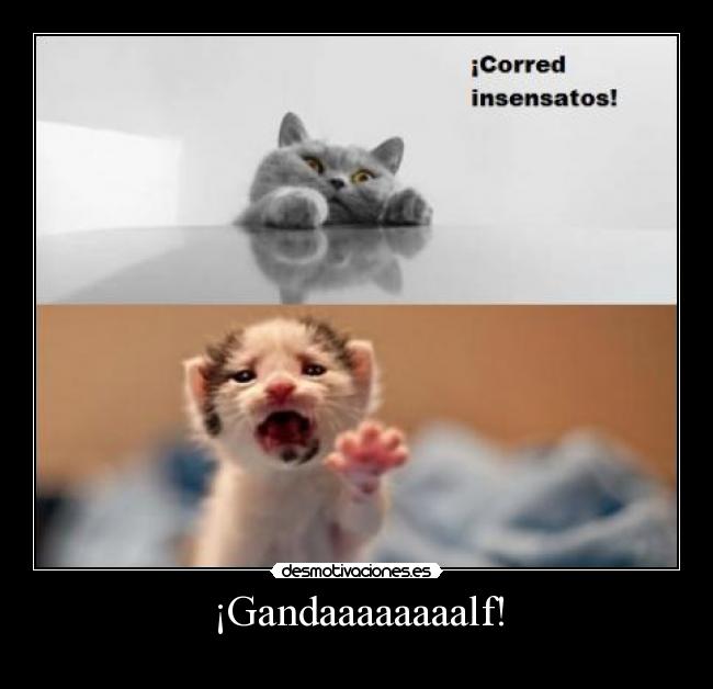 ¡Gandaaaaaaaalf! -