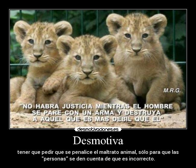 Desmotiva - tener que pedir que se penalice el maltrato animal, sólo para que las
personas se den cuenta de que es incorrecto.