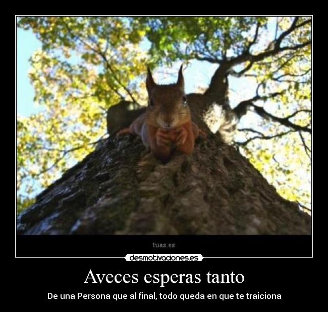 Aveces esperas tanto - De una Persona que al final, todo queda en que te traiciona