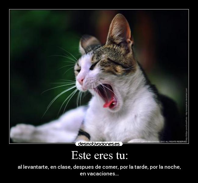 Este eres tu: - al levantarte, en clase, despues de comer, por la tarde, por la noche, en vacaciones...