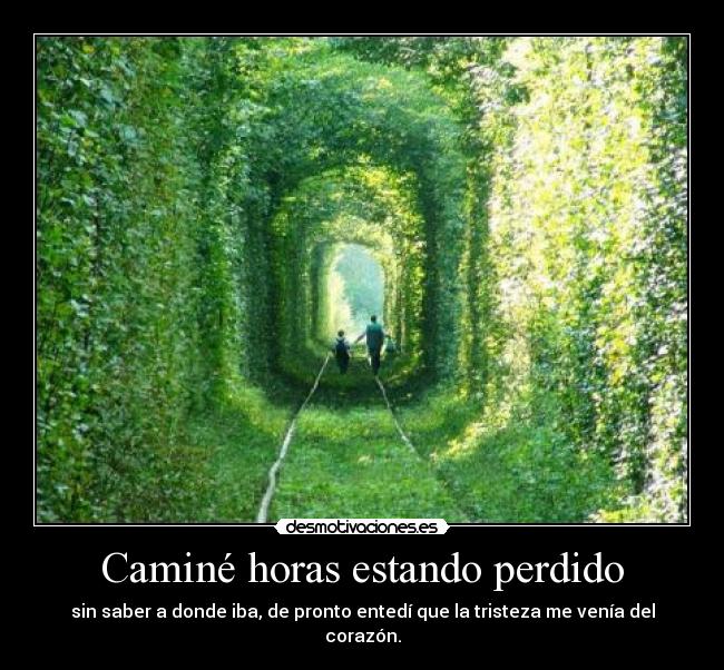 Caminé horas estando perdido - 