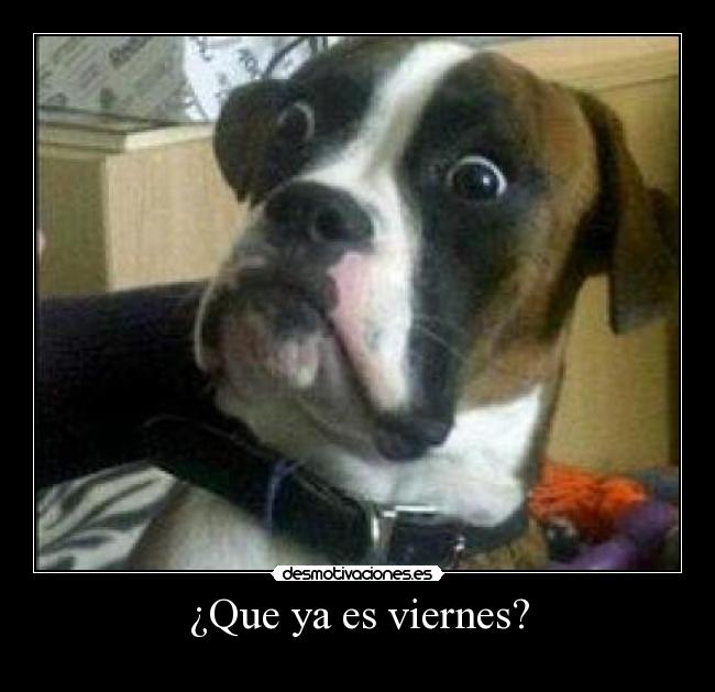 ¿Que ya es viernes? - 