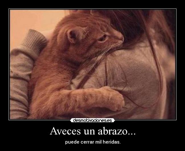 Aveces un abrazo... -