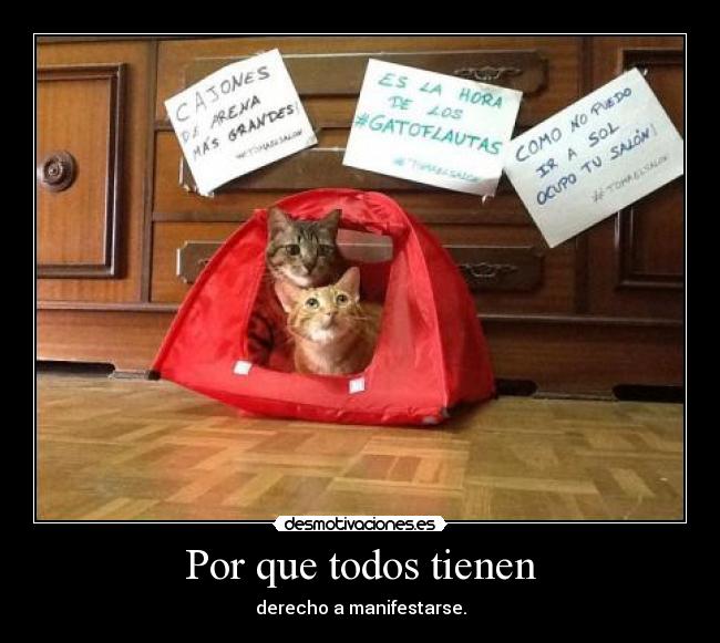 Por que todos tienen -