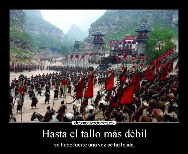 Hasta el tallo más débil -