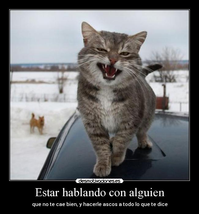 Estar hablando con alguien - que no te cae bien, y hacerle ascos a todo lo que te dice