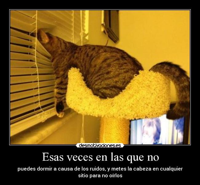 Esas veces en las que no - puedes dormir a causa de los ruidos, y metes la cabeza en cualquier
sitio para no oírlos
