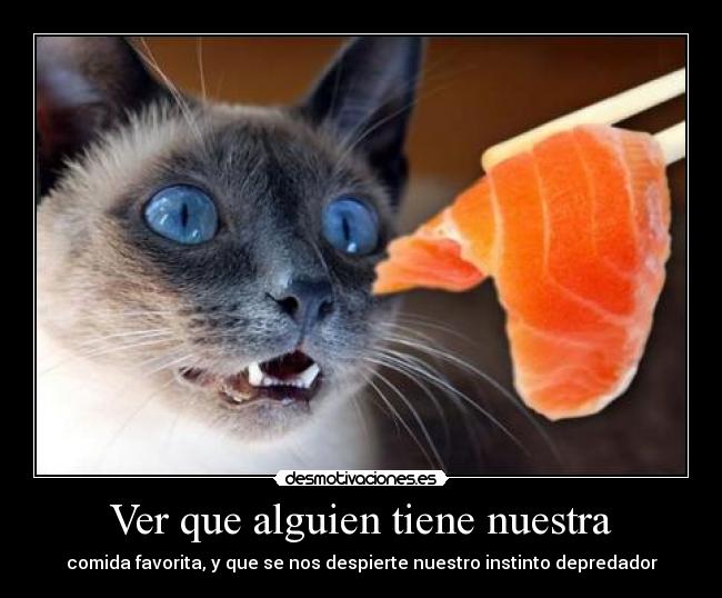 Ver que alguien tiene nuestra - comida favorita, y que se nos despierte nuestro instinto depredador