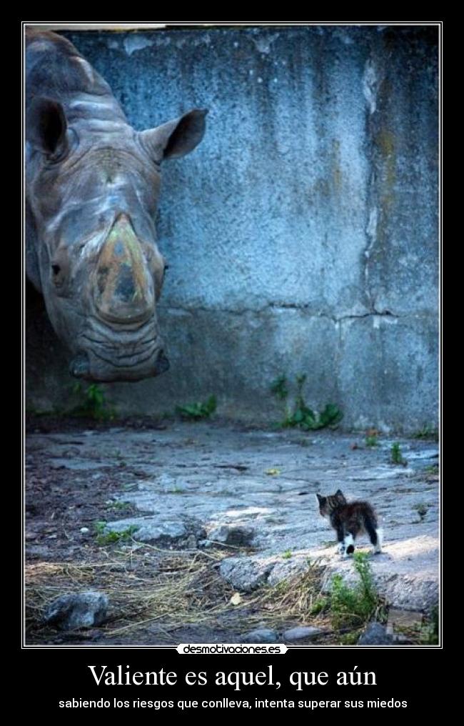 Valiente es aquel, que aún - sabiendo los riesgos que conlleva, intenta superar sus miedos