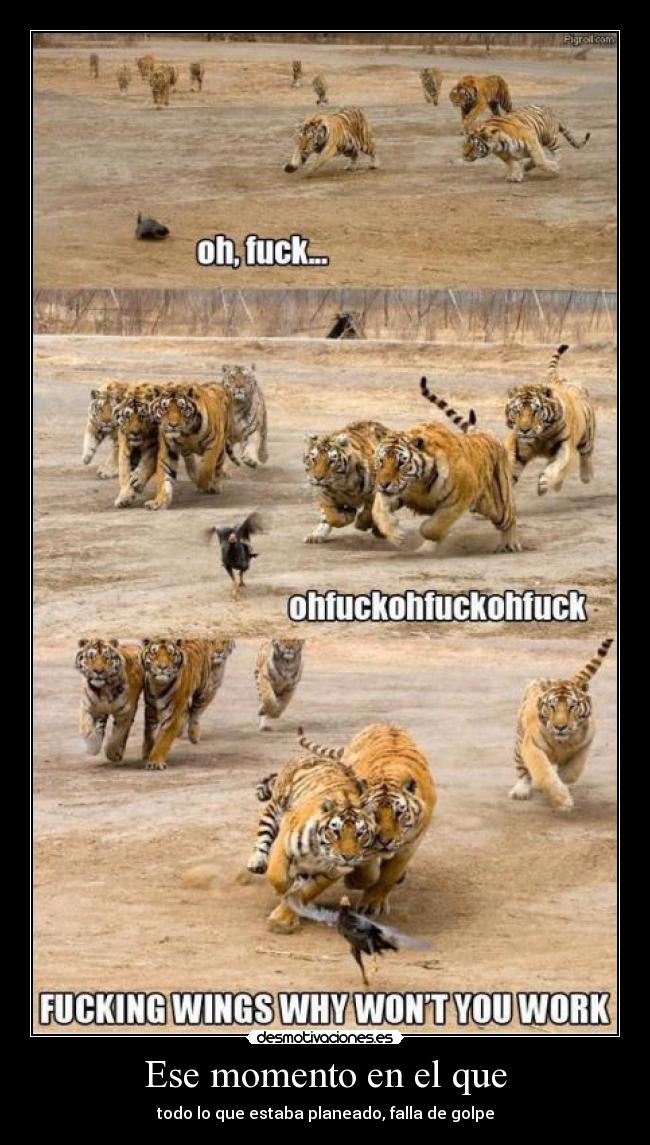 Ese momento en el que - todo lo que estaba planeado, falla de golpe