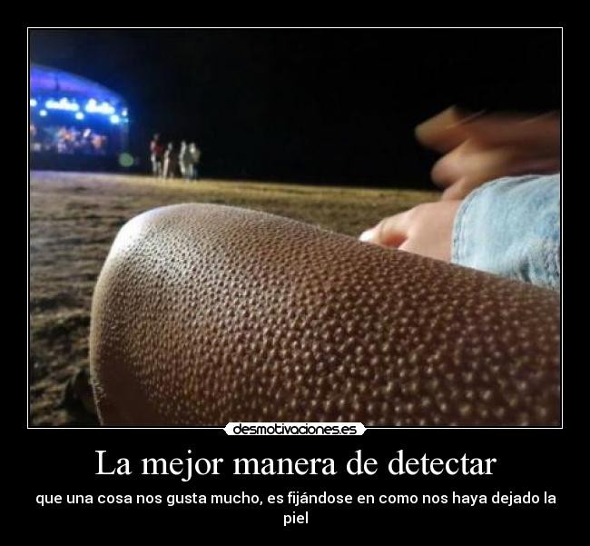 La mejor manera de detectar - que una cosa nos gusta mucho, es fijándose en como nos haya dejado la piel
