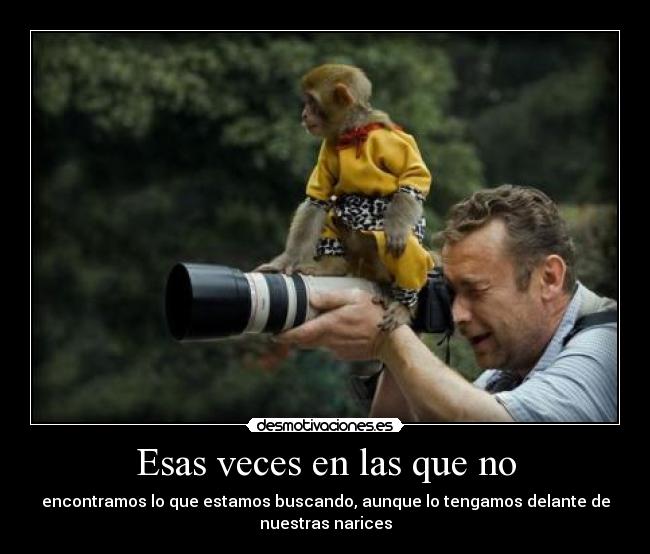 Esas veces en las que no - encontramos lo que estamos buscando, aunque lo tengamos delante de
nuestras narices