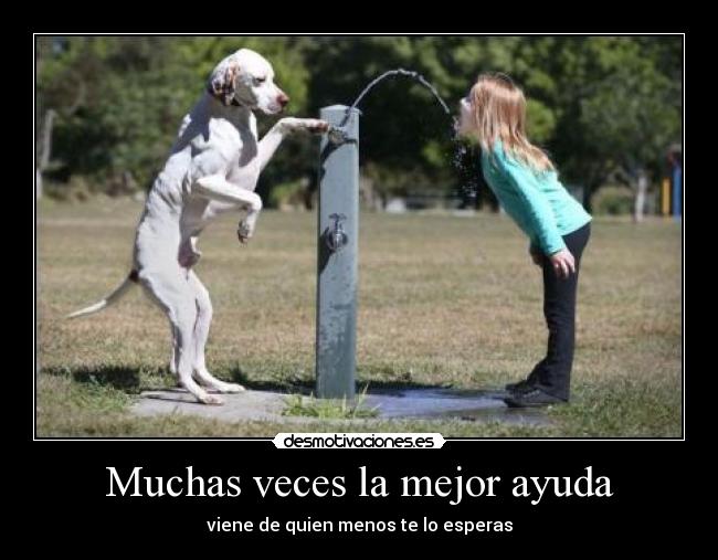 Muchas veces la mejor ayuda - viene de quien menos te lo esperas
