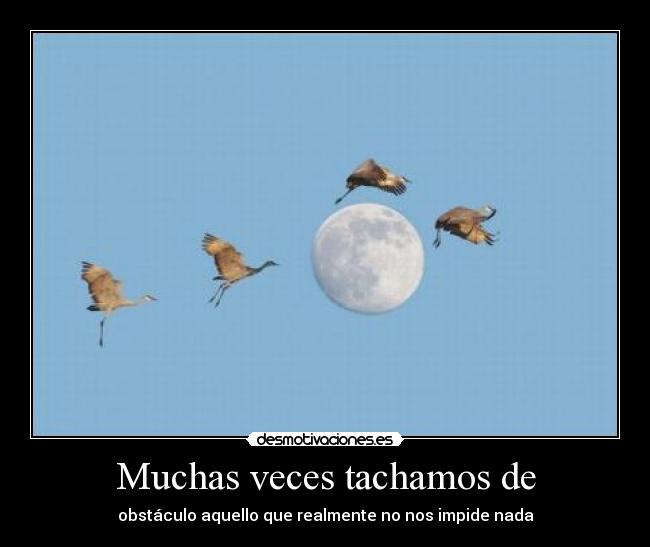 Muchas veces tachamos de - obstáculo aquello que realmente no nos impide nada