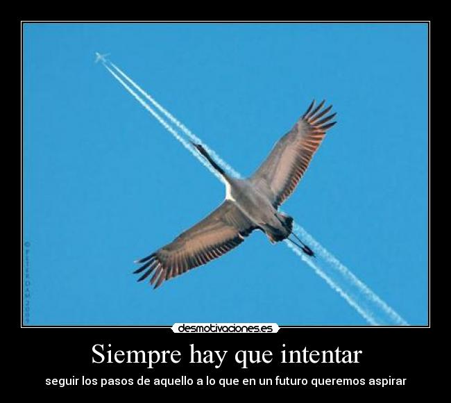 Siempre hay que intentar - seguir los pasos de aquello a lo que en un futuro queremos aspirar