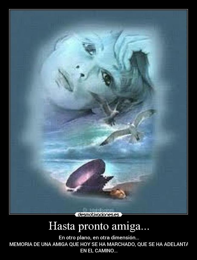Hasta pronto amiga... - En otro plano, en otra dimensión...
EN MEMORIA DE UNA AMIGA QUE HOY SE HA MARCHADO, QUE SE HA ADELANTADO
EN EL CAMINO...