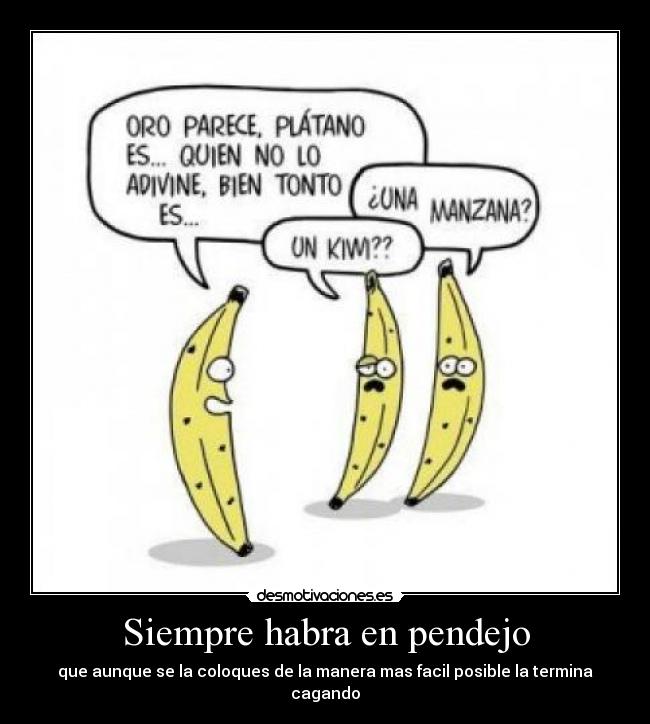 carteles pendejos harry pendejo everywhere desmotivaciones