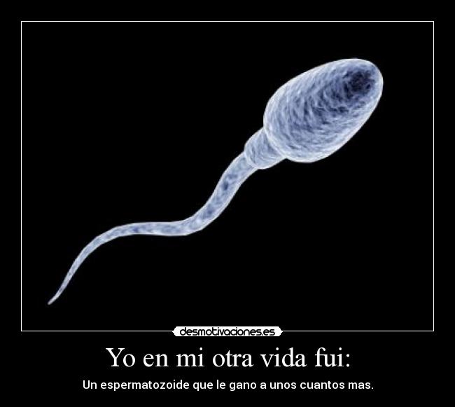 carteles vida chiste desmotivaciones