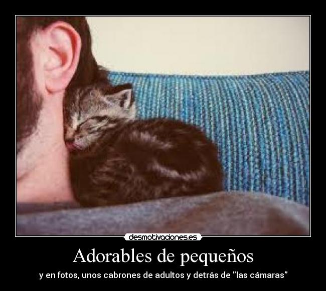 Adorables de pequeños - y en fotos, unos cabrones de adultos y detrás de las cámaras