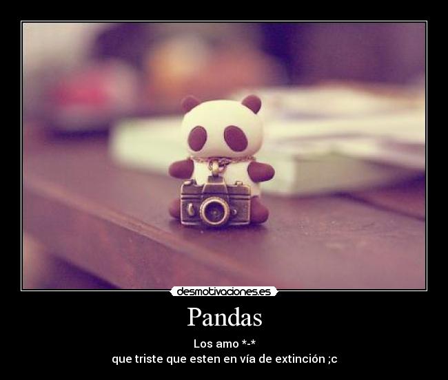 carteles pandas lol extincion desmotivaciones