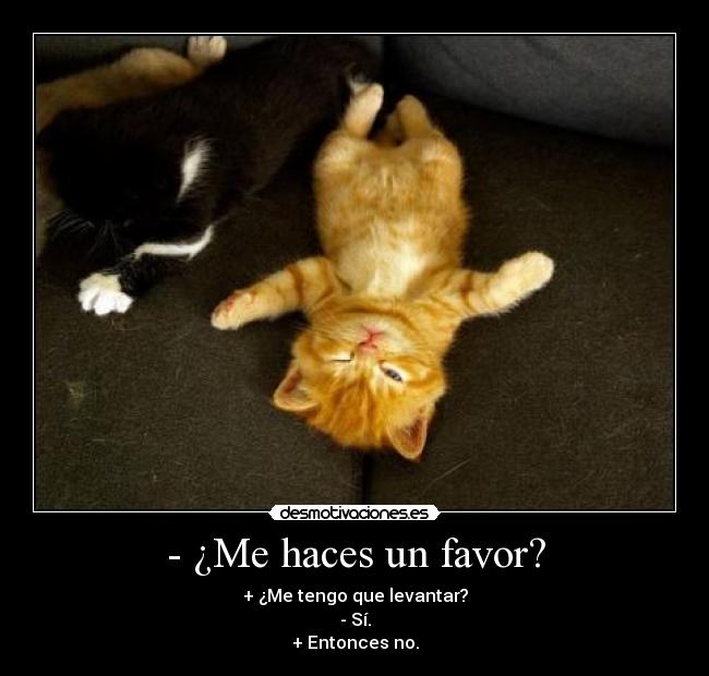 - ¿Me haces un favor? - 