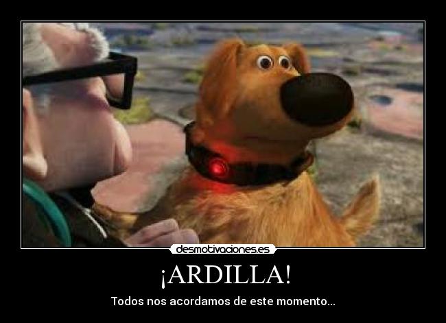 ¡ARDILLA! -