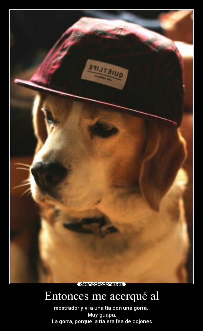 Entonces me acerqué al - mostrador y vi a una tía con una gorra.
Muy guapa.
La gorra, porque la tía era fea de cojones