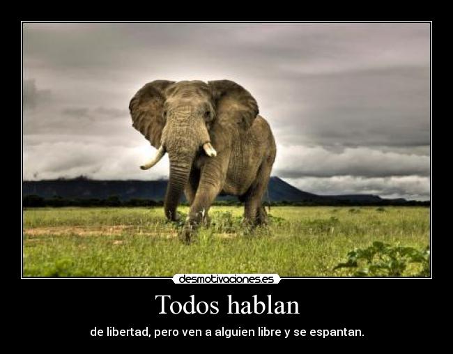 carteles libertad desmotivaciones