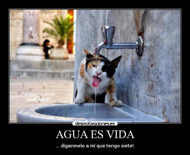 AGUA ES VIDA - ... díganmelo a mí que tengo siete!.