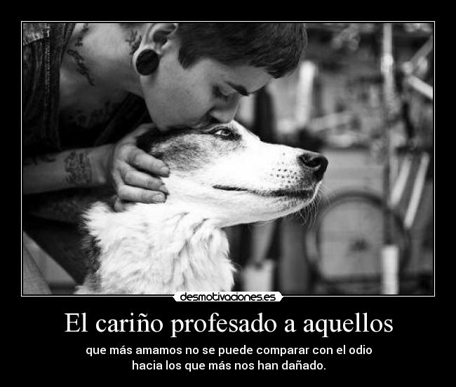 El cariño profesado a aquellos - 