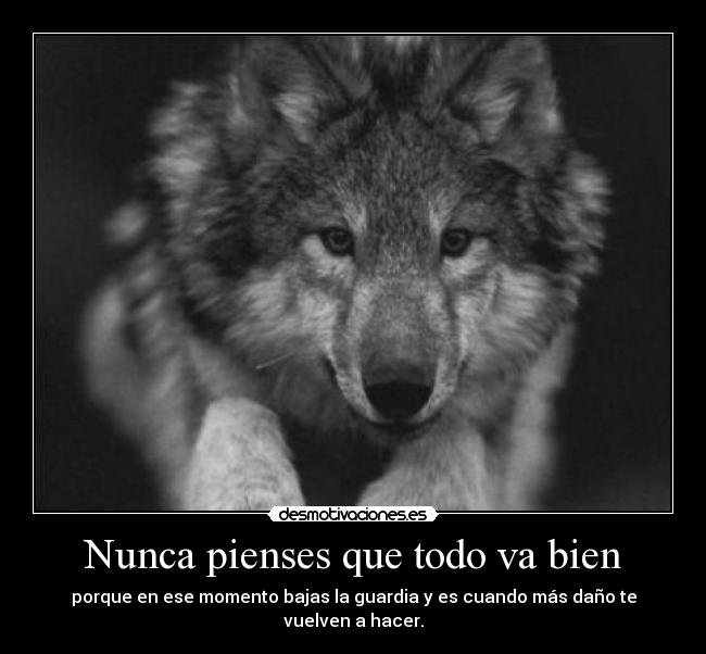 Nunca pienses que todo va bien - 