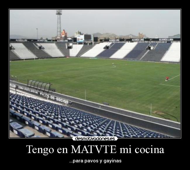 Tengo en MATVTE mi cocina - ...para pavos y gayinas