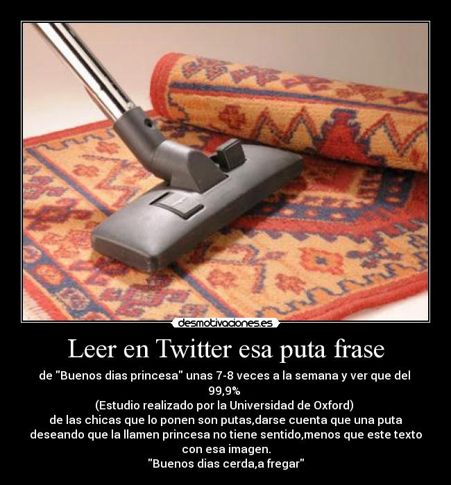 Leer en Twitter esa puta frase - de Buenos dias princesa unas 7-8 veces a la semana y ver que del 
99,9% 
(Estudio realizado por la Universidad de Oxford) 
de las chicas que lo ponen son putas,darse cuenta que una puta
deseando que la llamen princesa no tiene sentido,menos que este texto
con esa imagen.
Buenos dias cerda,a fregar