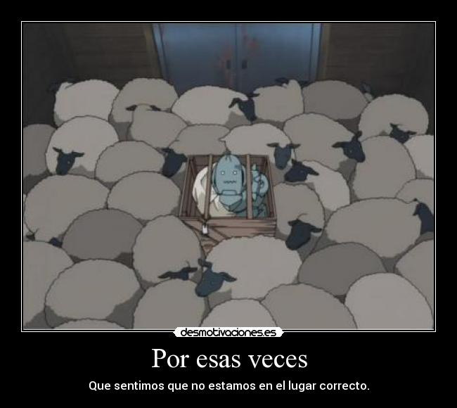 Por esas veces - Que sentimos que no estamos en el lugar correcto.