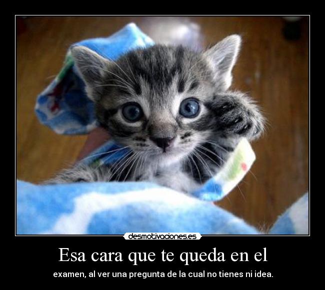 Esa cara que te queda en el - examen, al ver una pregunta de la cual no tienes ni idea.