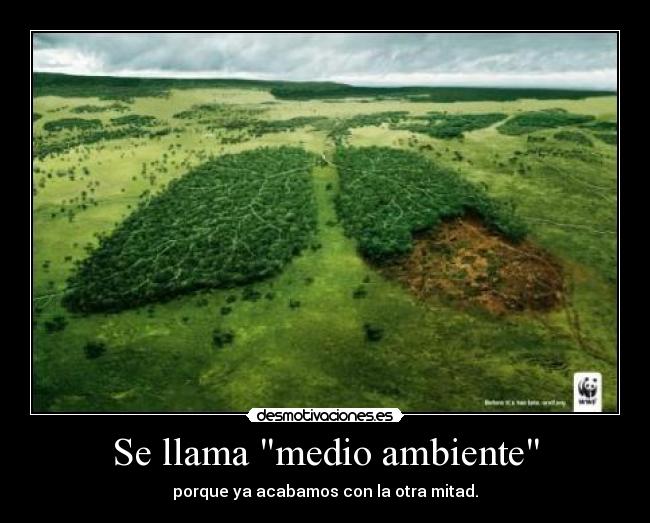 Se llama medio ambiente -