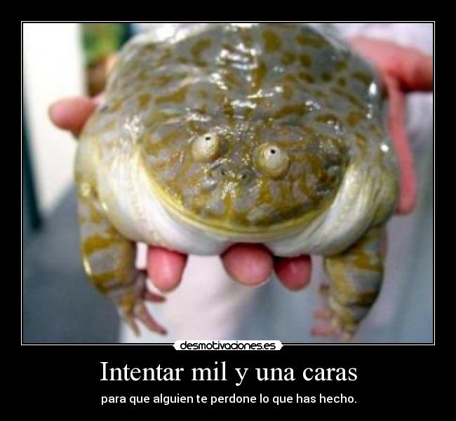 Intentar mil y una caras - 