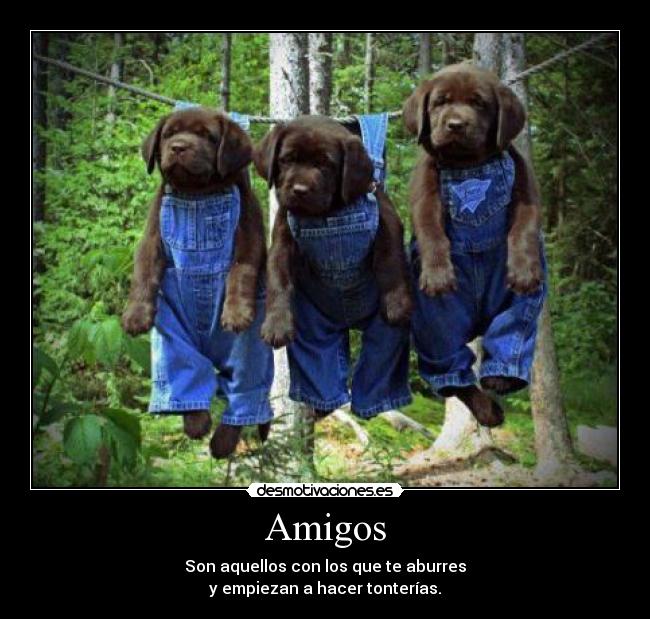 Amigos - Son aquellos con los que te aburres
y empiezan a hacer tonterías.